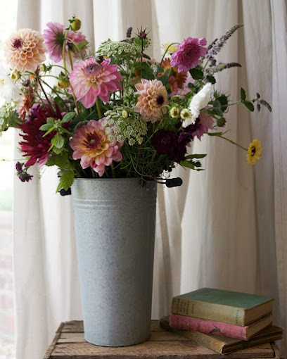 Stem & Green Flower Farm, Florist in Winchester