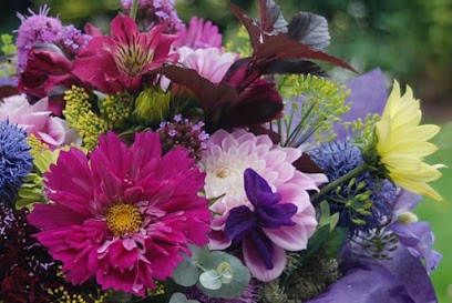 The Somerset Cut Flower Garden, Florist in Bridgwater