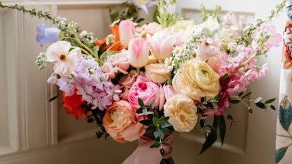 Wild Poppy Blooms, Florist in Stonehouse