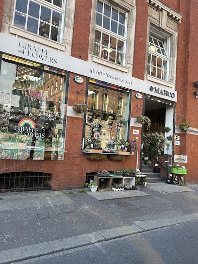 Giraffe Flowers - Northern Quarter, Florist in Manchester