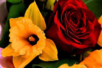 Rosedils Flowers, Florist in Leicester