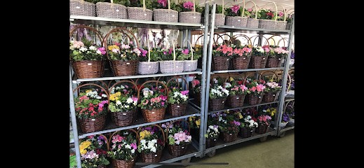 Flowers by Samantha Jane, Florist in Chertsey