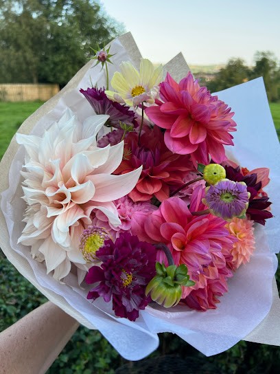 Mrs Bloom, Florist in Lisburn