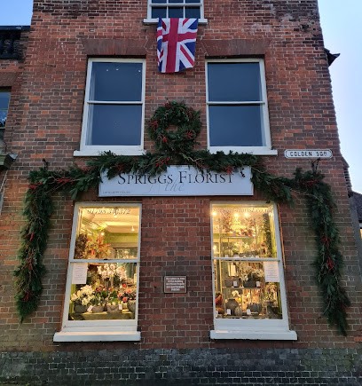 Spriggs Florist, Florist in Petworth