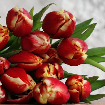 Montpellier Flowers, Florist in Cheltenham