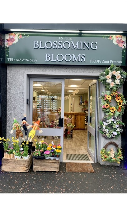 Blossoming Blooms, Florist in Omagh