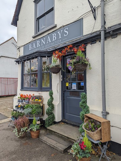 Barnabys Florists, Florist in Stevenage