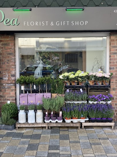 Sweet Pea Florist, Florist in Redcar