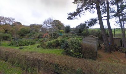 The Blue Carrot, Florist in Truro