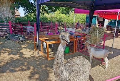Oakwood Hill Flower Show, Florist in Dorking