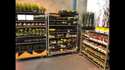 MSM Flowers, Florist in Stockton-on-Tees