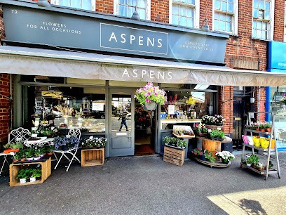 Aspens Florist, Florist in Edgware