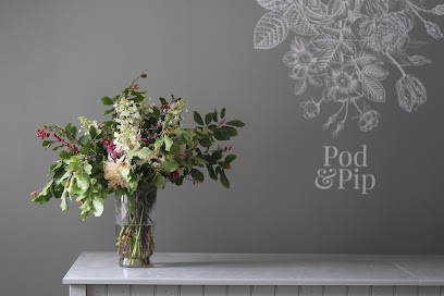 Pod & Pip, Florist in Salisbury