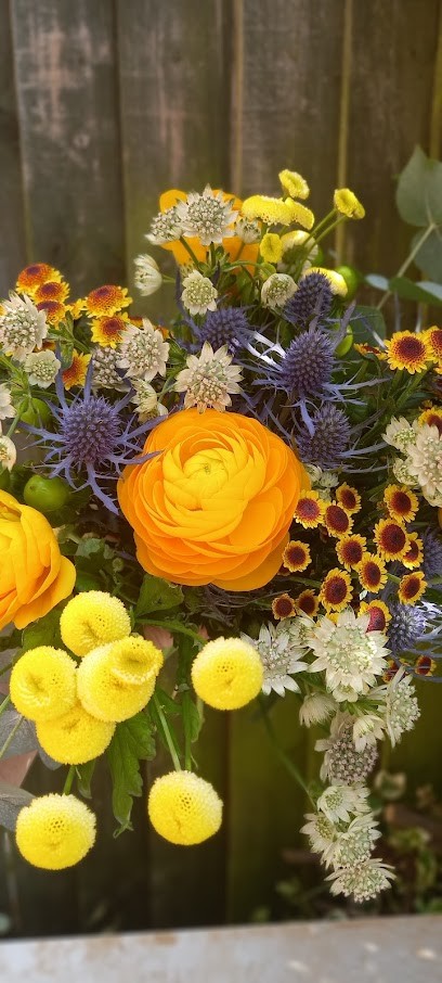 Posy and Stem, Florist in Cambridge