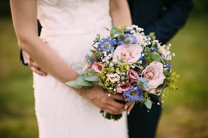 Country Daisy, Florist in Sevenoaks