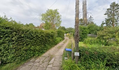 Floral Art, Florist in Lewes