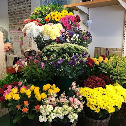 Emma Jane Florist, Florist in Bristol