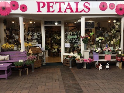 Petals Florist, Florist in Newton Aycliffe