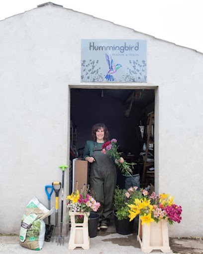 Hummingbird Meadow & Design, Florist in Lisburn