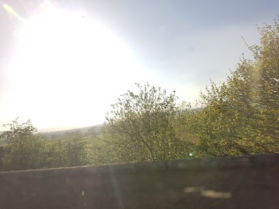 Yorkshire Wedding Flowers from Jill Springall, Florist in Leeds