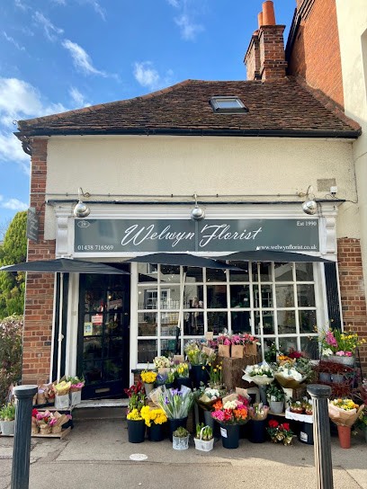 Welwyn Florist, Florist in Welwyn