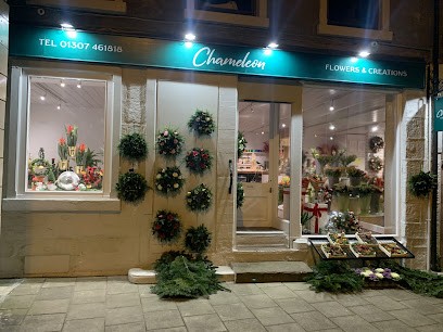 Chameleon Flowers, Florist in Forfar