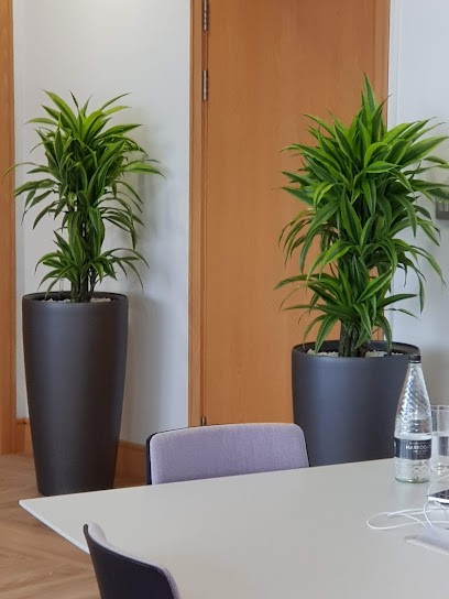 C C Planters, Florist in Leeds
