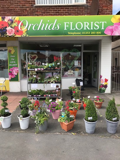Orchids Florist - Cleveleys, Florist in Thornton-Cleveleys