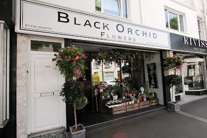 Black Orchid, Florist in Swansea
