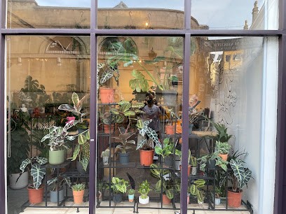 Plant Works, Florist in Bristol
