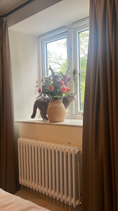 BloomandBumble, Florist in Dursley