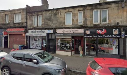 Blushing Blooms, Florist in Hamilton