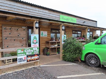 Beautiful Blooms, Florist in Aylesbury
