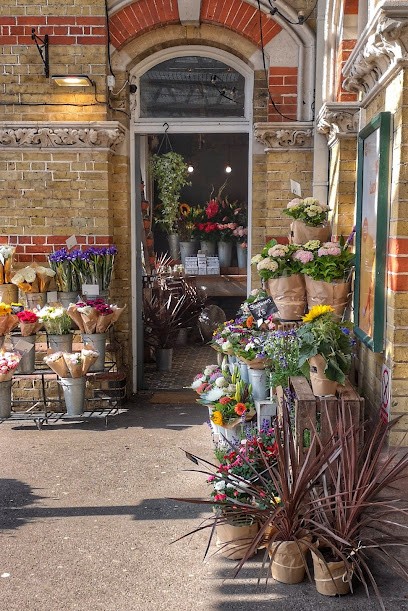 Go Botanica Ltd, Florist in Lewes
