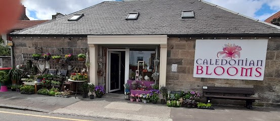Caledonian Blooms, Florist in Alloa