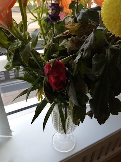 Quiggs Florist, Florist in Londonderry