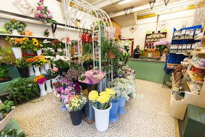Bluebells Florist Crieff, Florist in Crieff
