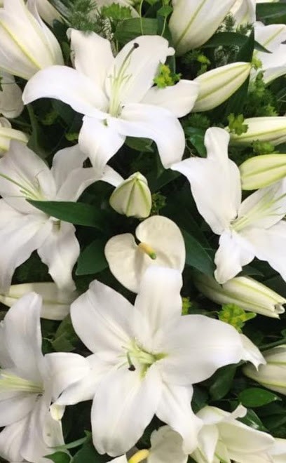 Flower Power Florist, Florist in Wolverhampton