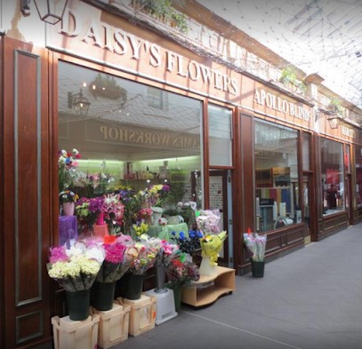 Daisy's Flowers, Florist in Ayr