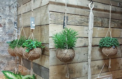 The Plant Barn, Florist in Bristol