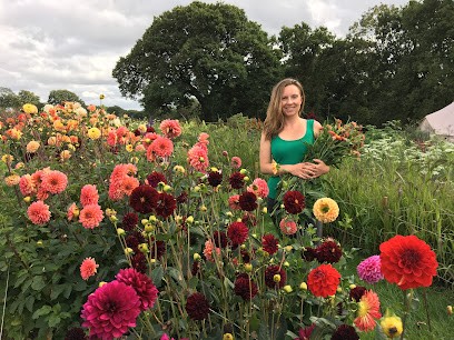Old Trickey's Flower Farm, Florist in Cullompton