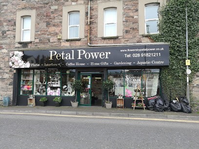 Petal Power Floral Fashion, Florist in Newtownards