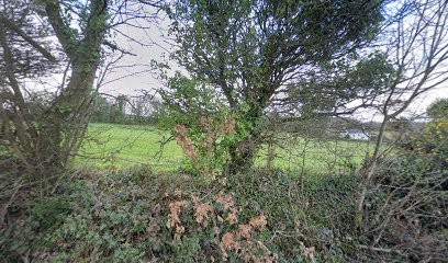 Rose Cottage Floral Design, Florist in Truro