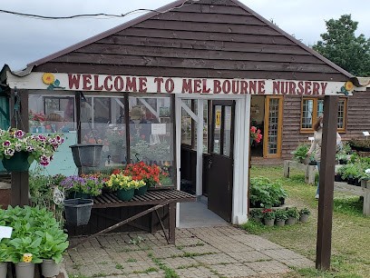 Peny's Flowers, Florist in Wallington