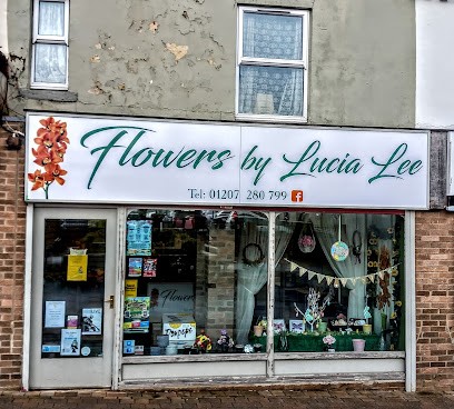 The Flowerbox by Lucia Lee, Florist in Stanley