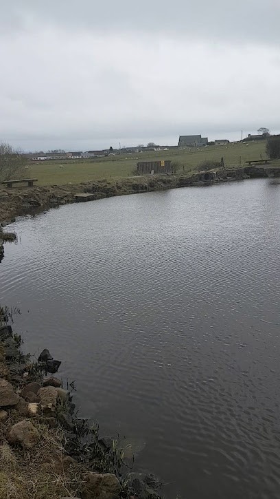 Flowers By Sinclair Marion, Florist in Hamilton