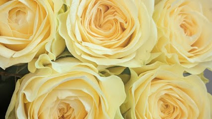 Flowers Pontarddulais, Florist in Swansea