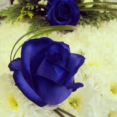 Pontardawe Florist, Florist in Swansea