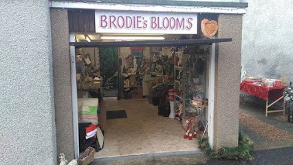 Brodie's Blooms & Gifts, Florist in Cupar