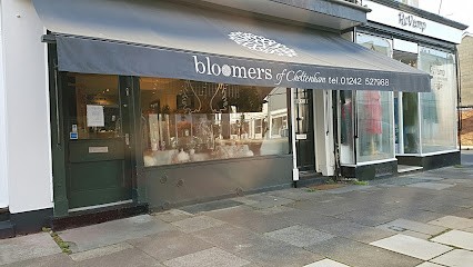 Bloomers Of Cheltenham, Florist in Cheltenham